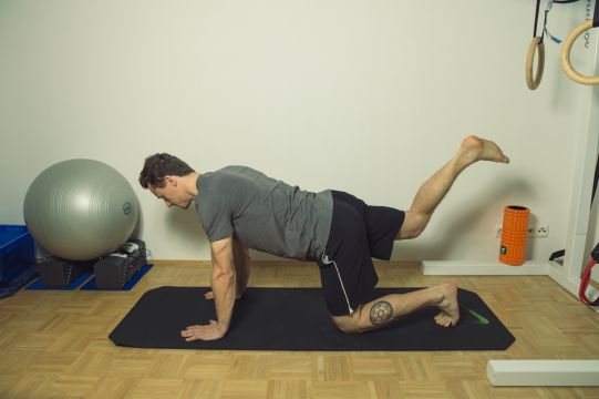 Aus dem Vierfüßlerstand ein Bein nach oben führen, bis die Gesäßmuskulatur angespannt werden kann. 8-10 Wiederholungen pro Seite. Gesäßmuskulatur aktivieren 2